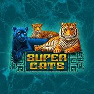 Super Cats игра