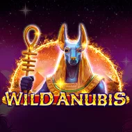 Wild Anubis игра