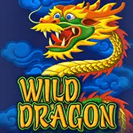 Wild Dragon игра