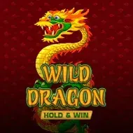 Wild Dragon Hold & Win игра