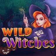 Wild Witches игра
