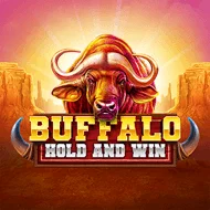 Buffalo Hold and Win игра