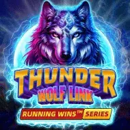 Thunder Wolf Link: Running Wins игра