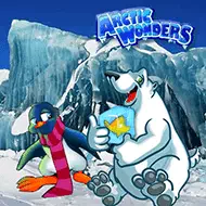 Arctic Wonders игра