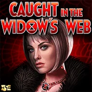 Caught in the Widow's Web игра