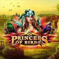 Princess of Birds игра