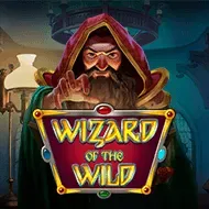 Wizard of the Wild игра