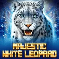 Majestic White Leopard bilde