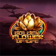 Golden Flower Of Life bilde