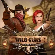 Wild Guns изображение