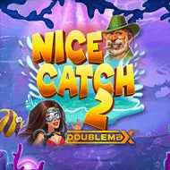 Nice Catch 2 DoubleMax игра